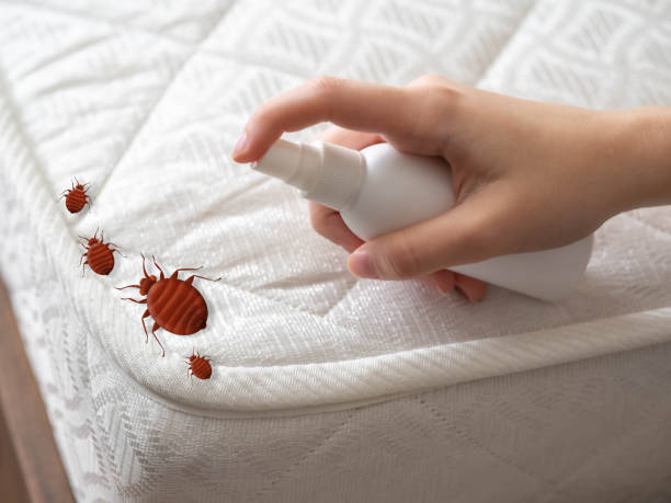 Best Organic or Eco-Friendly Pest Control  in Kingsburg, CA